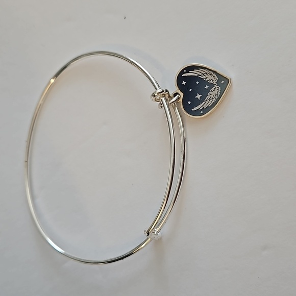 3 ALEX AND ANI Charm Bracelets - Picture 8 of 10